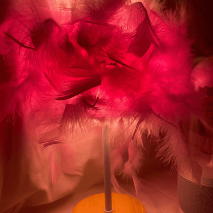 Feather Lamp